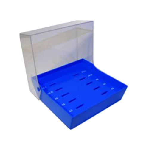 CLAN ÜBUNGSKASTEN ZAHN UNTERKIEFER LEER