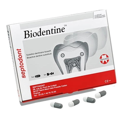 SEPTODONT BIODENTIN (5 stück)