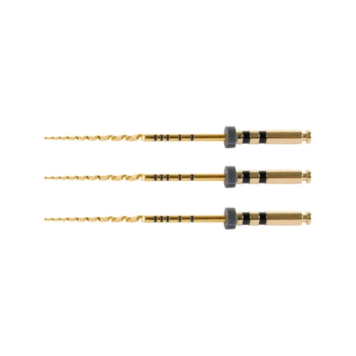 DENTSPLY SIRONA PROTAPER GOLD FEILEN 31mm F4 SCHWARZ STERIL (6 Stück)