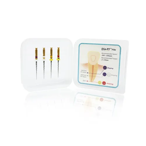 DIADENT DIA-PT FEILE D1-D4 STARTER KIT 25 mm (4 Stück) 561-291