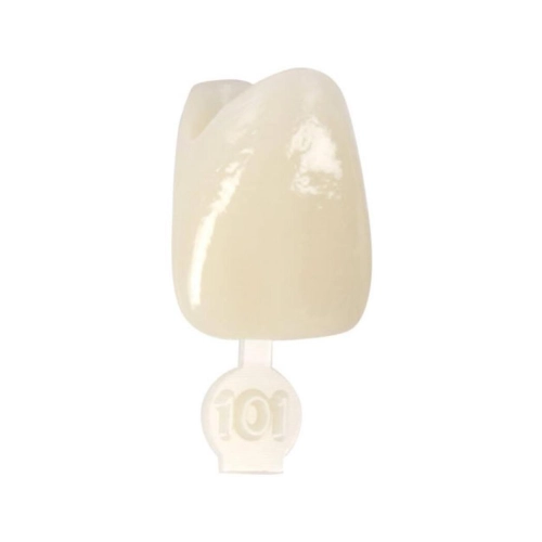 3M ION POLYCARBONAAT NOODKRONEN NR.101 (5st)