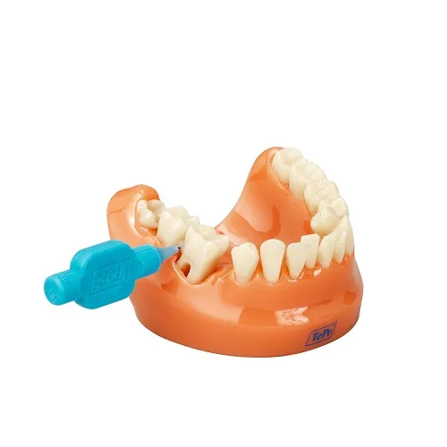 TEPE MUNDHYGIENE-STUDIENMODELL