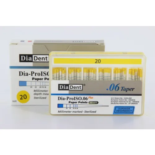 DIADENT PAPIERSPITZE .06 NR.20 GELB (100St)