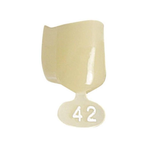 POLODENT PROVISORISCHE KRONEN PRÄMOLAREN OBEN NR.42 (5Stk)