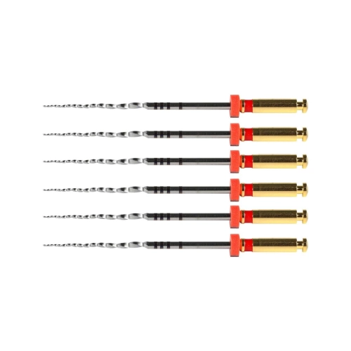 POLODENT POLOTAPER NXT FILEN 31mm X2