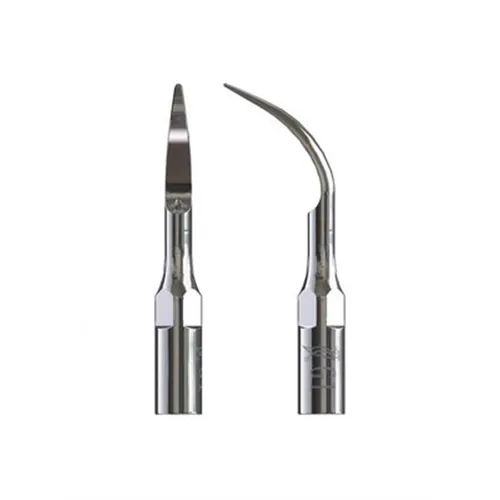 WOODPECKER TIP NR.G1 FÜR EMS/MECTRON/WOODPECKER (1 Stück)