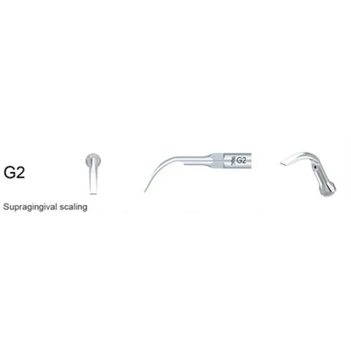 WOODPECKER NR.G2 FÜR EMS (ALS EMS-SPITZE B)