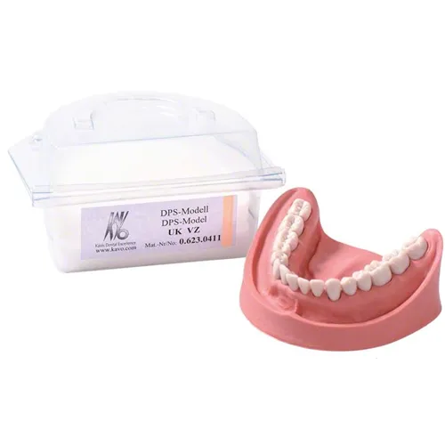 KAVO SIMULATIONSMODELL UNTERKIEFER KOMPLETT (16 ELEMENTE)